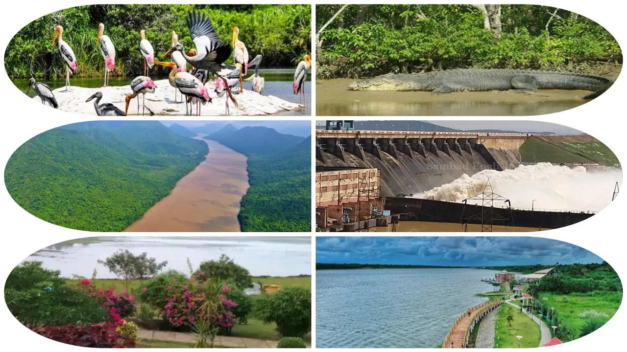  All about Ramsar sites in Odisha and their significance