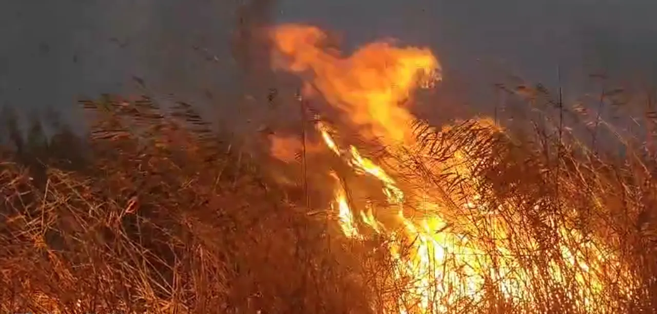  Massive fire breaks out at Kalupada ghat of Odisha’s Chilika lake