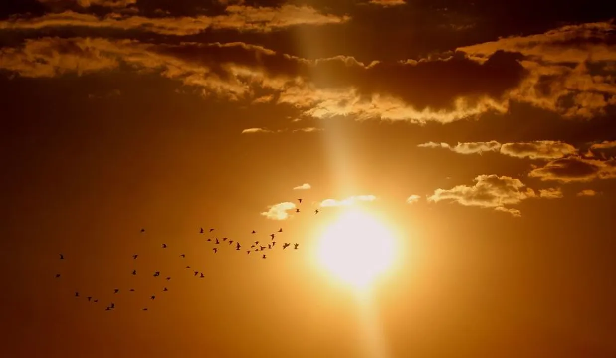  Odisha: Heat wave condition likely to prevail at least till April 18; temp to rise by 4-6°C
