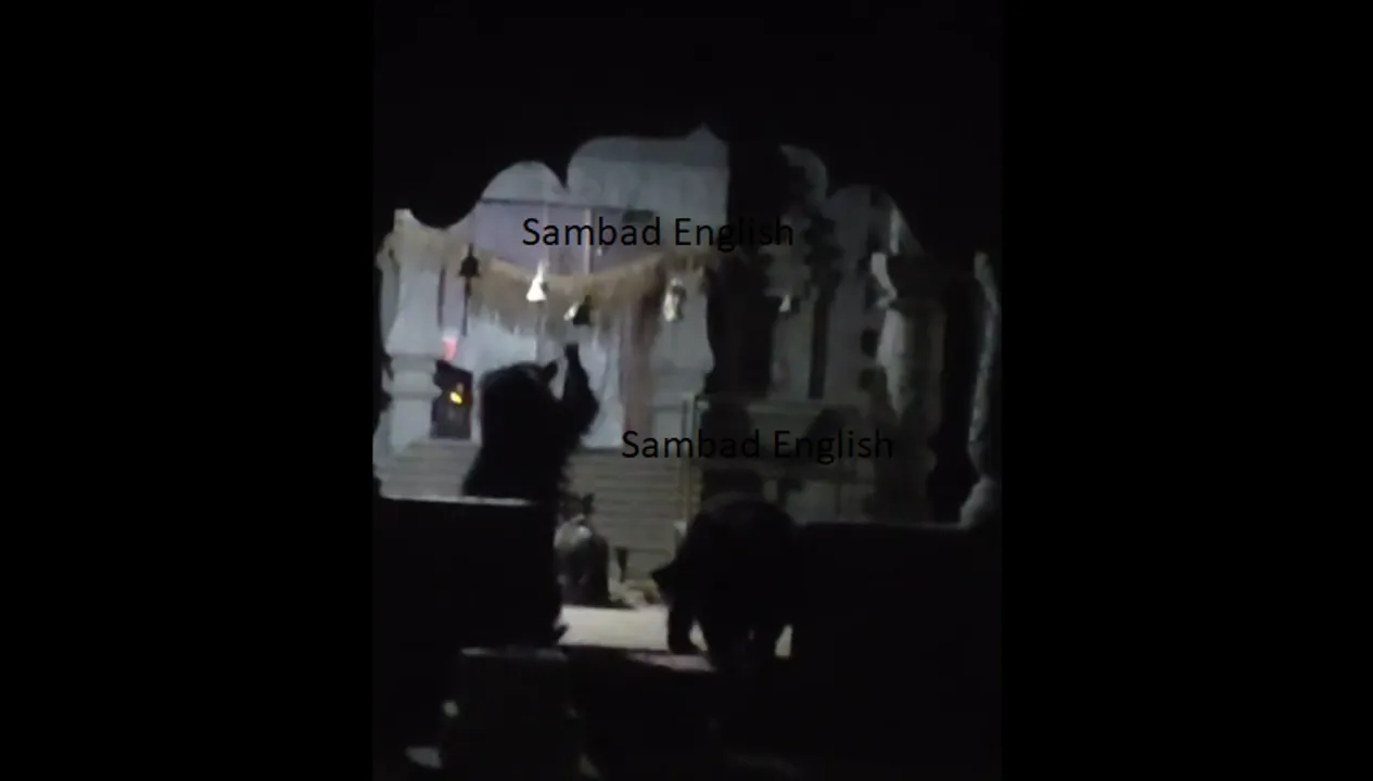  (Watch) Bear strays into Odisha temple, rings bell; video goes viral
