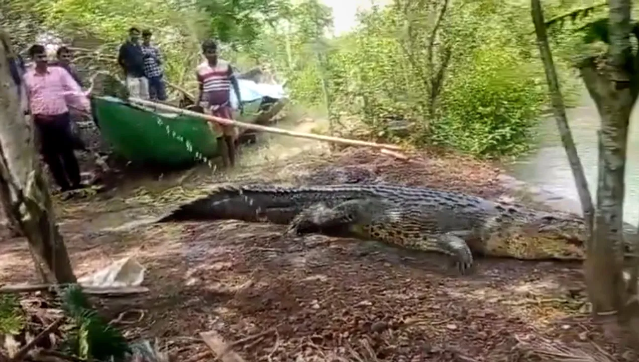  Screenshot Courtesy: https://x.com/susantananda3/status/ 