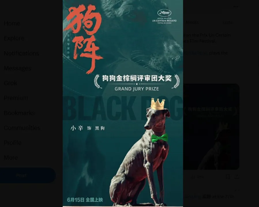  Chinese director Hu Guan's 'Black Dog' wins Un Certain Regard Prize at Cannes