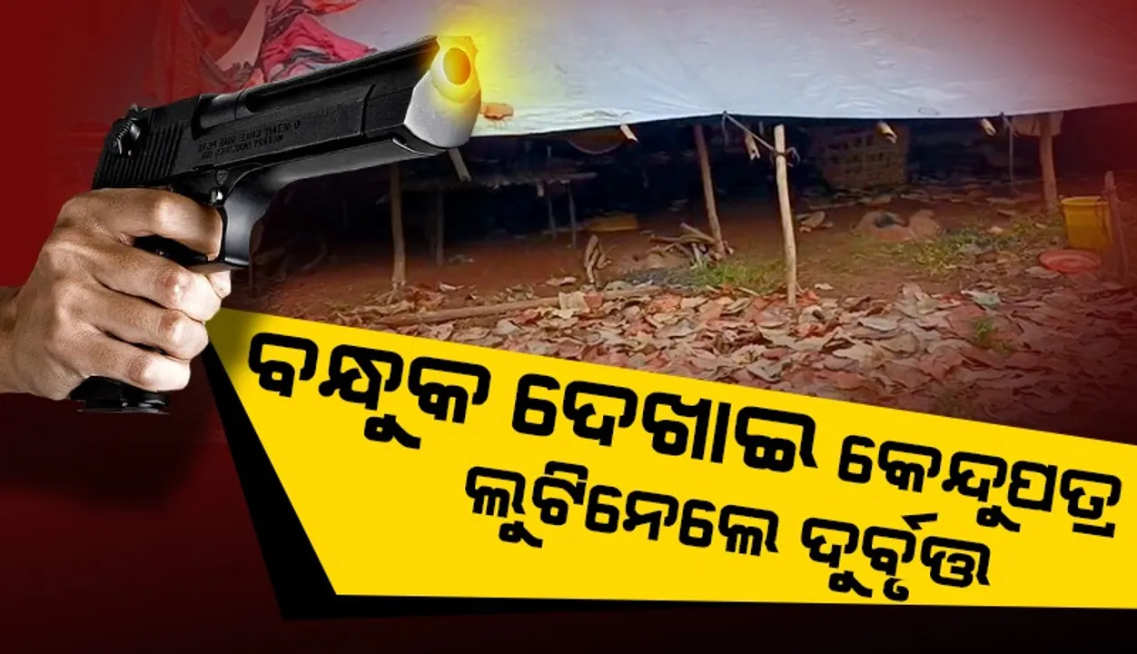  ବନ୍ଧୁକମୁନରେ ଲୁଟିନେଲେ ବସ୍ତା ବସ୍ତା କେନ୍ଦୁପତ୍ର