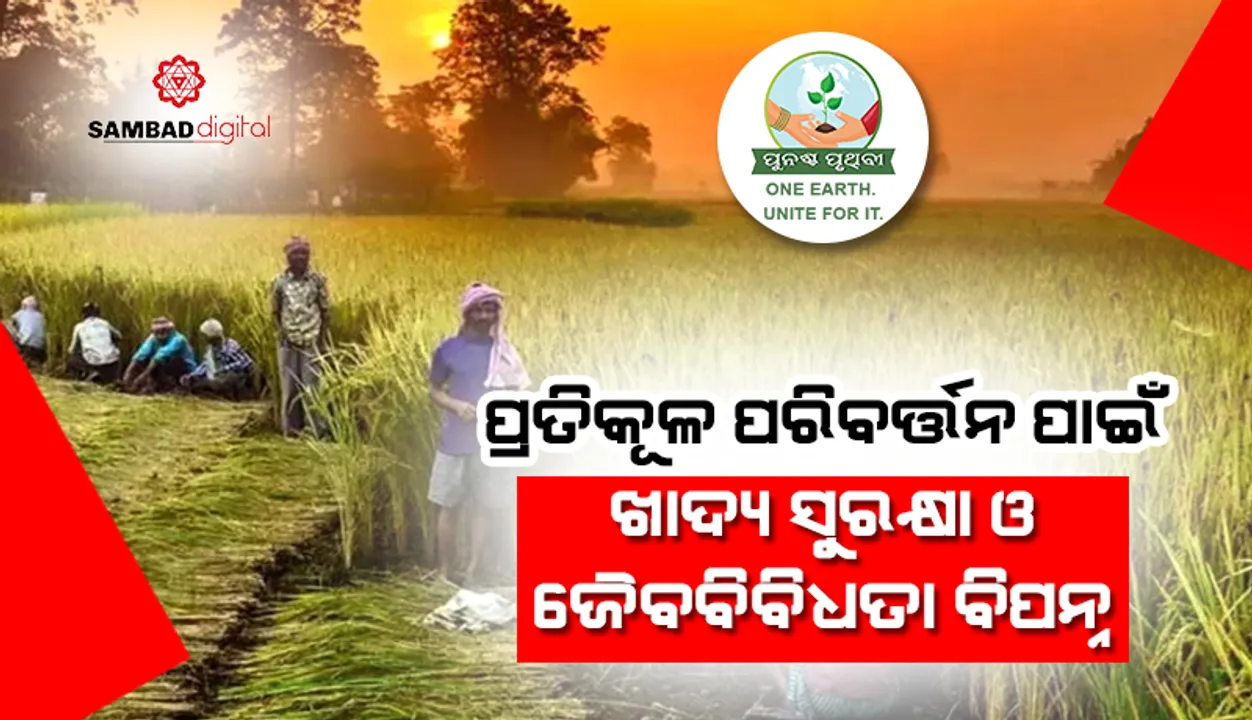  ପ୍ରତିକୂଳ ପାଣିପାଗ ପାଇଁ  ଖାଦ୍ୟ ସୁରକ୍ଷା ଓ  ଜୈବବିବିଧତା ବିପନ୍ନ