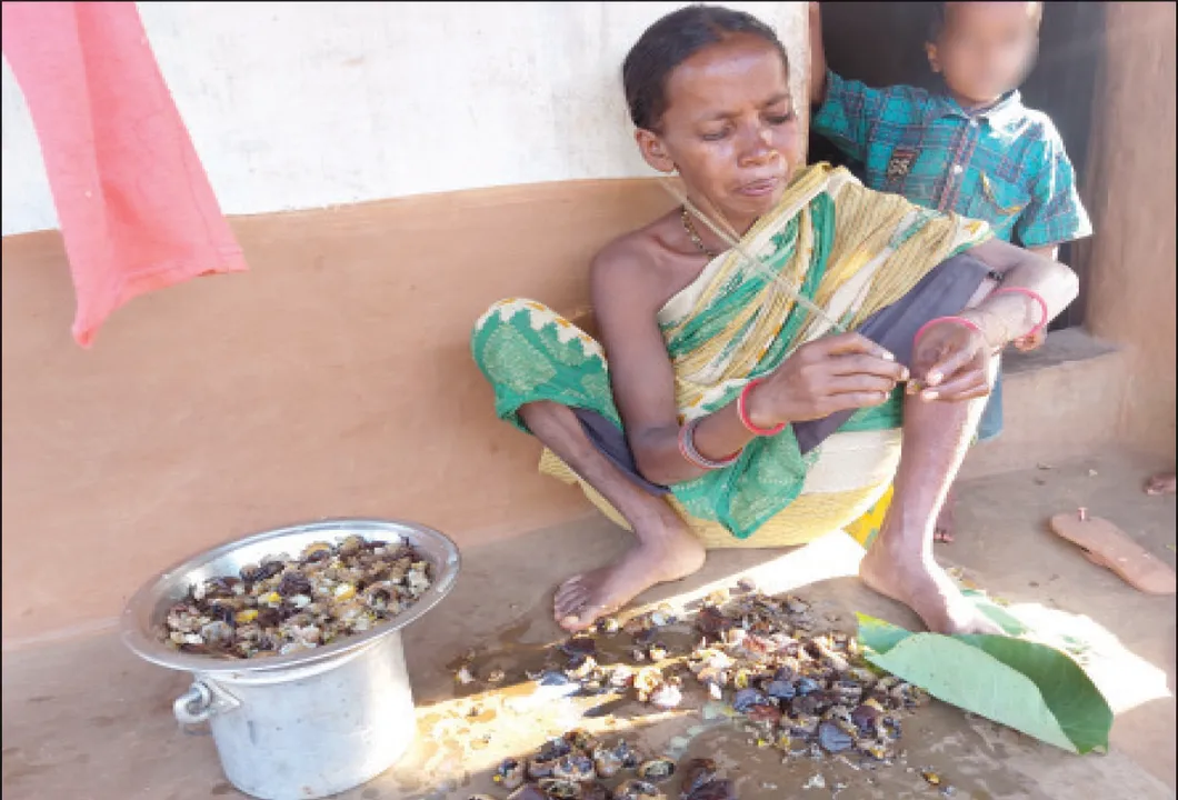  ରତ୍ନଗର୍ଭା ଯାଜପୁର... ନିଅନ୍‌ ଆଲୁଅ ଭିତରେ ଭୋକର ଅନ୍ଧକାର