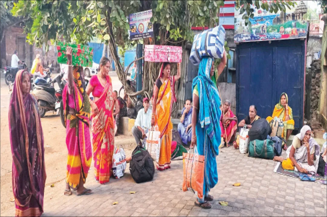  ଆଜିଠୁ କାର୍ତ୍ତିକ ବ୍ରତ, ଚଳଚଞ୍ଚଳ ଶ୍ରୀକ୍ଷେତ୍ର: ଶିବିରରେ ପହଞ୍ଚିଲେ ହବିଷିଆଳି
