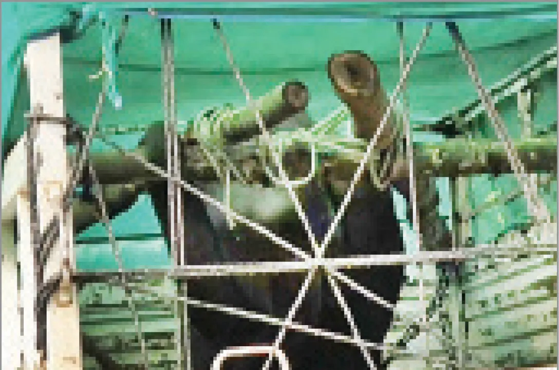  ଆହତ ଛୁଆହାତୀ ଗଲା ନନ୍ଦନକାନନ
