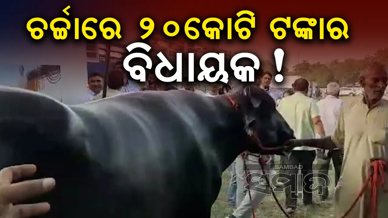  କୋଟିଏରୁ ଅଧିକ ଟଙ୍କାରେ ବି ମଇଁଷି ବିକ୍ରି କରିବାକୁ ରାଜି ନୁହନ୍ତି ମାଲିକ