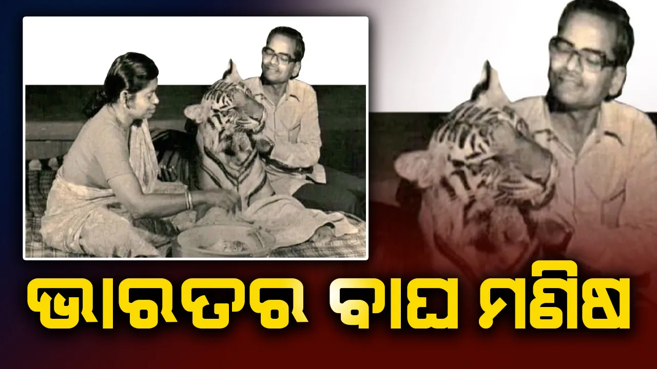  ଭାରତର ବାଘ ମଣିଷ