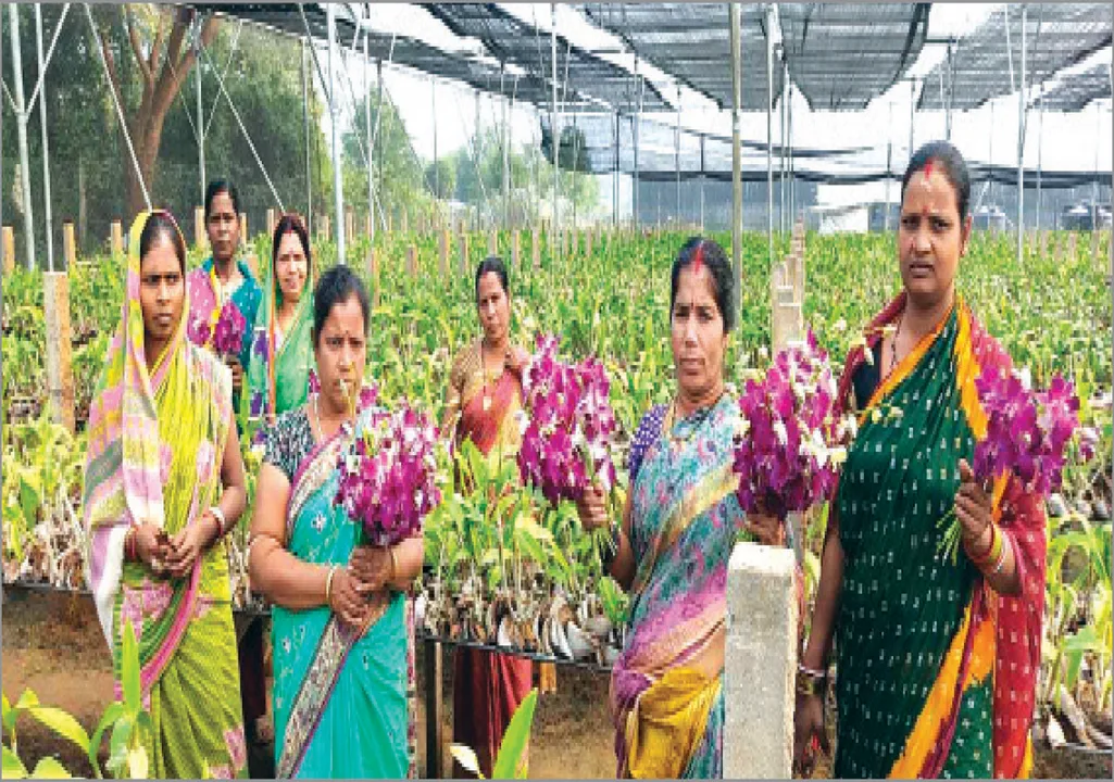  ଅର୍କିଡ୍ ଫୁଲ ଦେଇଛି ନୂଆ ପରିଚୟ:  ୧୮୦୦ ମହିଳାଙ୍କୁ ରୋଜଗାରର ବାଟ ଦେଖାଇଛନ୍ତି ପୁଷ୍ପାଞ୍ଜଳି