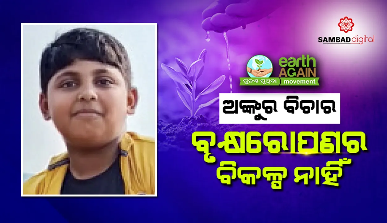  ଅଙ୍କୁର ବିଚାର: ବୃକ୍ଷରୋପଣର ବିକଳ୍ପ ନାହିଁ
