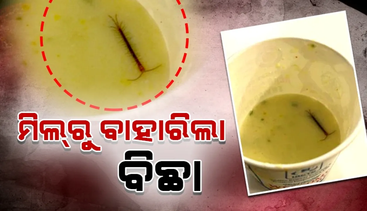  ଭିଆଇପି ରେଳ ଲାଉଞ୍ଜ୍‌ରେ ଯାତ୍ରୀଙ୍କ ଖାଦ୍ୟରୁ ବାହାରିଲା ବିଛା‌