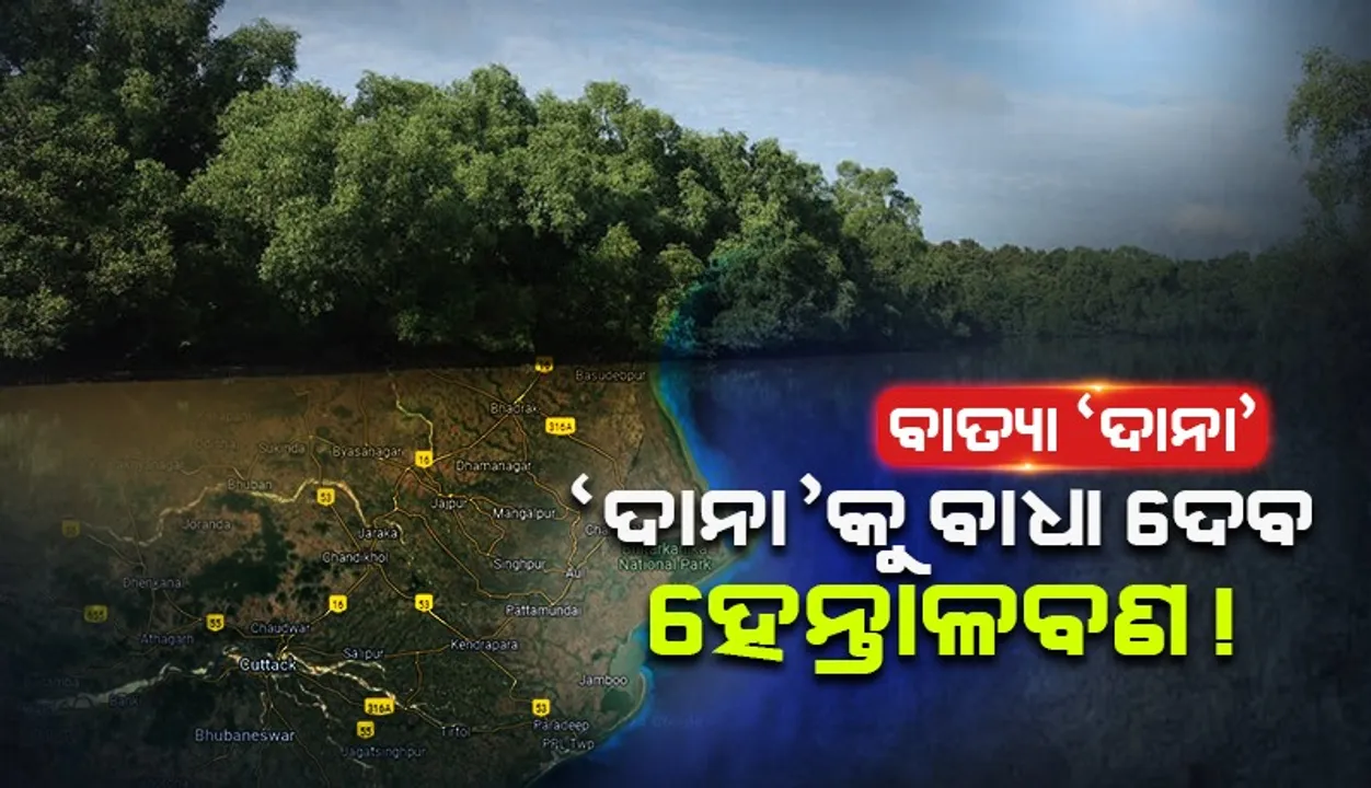  ‘ଦାନା’କୁ ବାଧା ଦେବ ହେନ୍ତାଳବଣ!