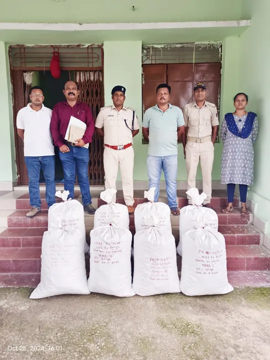  ଘଞ୍ଚ ଜଙ୍ଗଲରୁ ବିପୁଳ ପରିମାଣର ଗଞ୍ଜେଇ ଜବତ