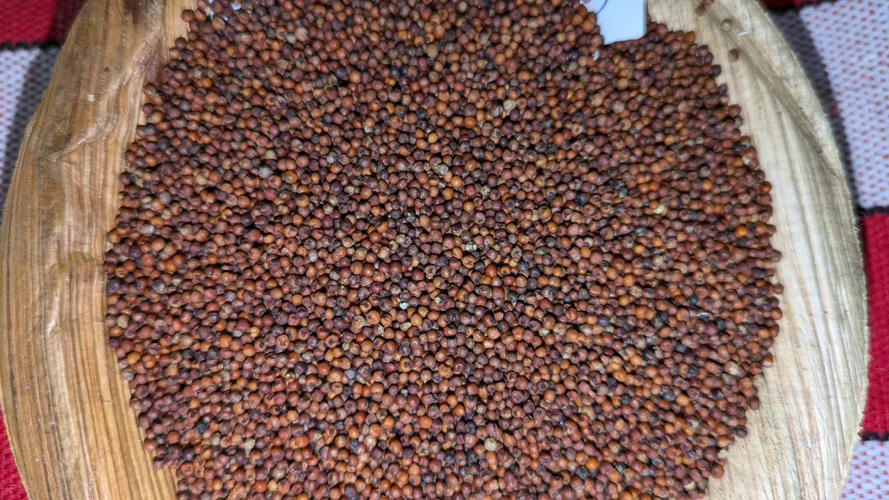  ଶ୍ରୀ ଅନ୍ନ ଅଭିଯାନ: ଗତ ବର୍ଷ ତୁଳନାରେ କମିଗଲା ୮୨୩ହେକ୍ଟର