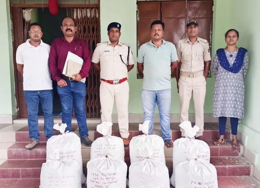  ଜଂଗଲରୁ ୧୬୦ କିଲୋ ଗଂଜେଇ ଜବତ କଲା ଅବକାରୀ ବିଭାଗ