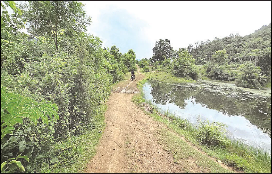  ୧୦୭ ଗାଁକୁ ରାସ୍ତା ନାହିଁ, ୨୨୯ ଗାଁରେ ପହଞ୍ଚିନି ବିଜୁଳି