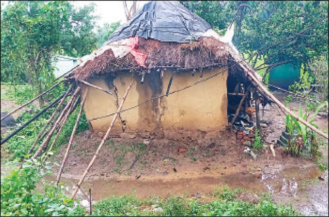  ଯାଜପୁରରେ ଉଜୁଡ଼ିଗଲା ୩୪୦ ହେକ୍ଟର ପରିବା ଚାଷ, ୨୧ ହଜାର ହେକ୍ଟର ଚାଷଜମି କ୍ଷତିଗ୍ରସ୍ତ