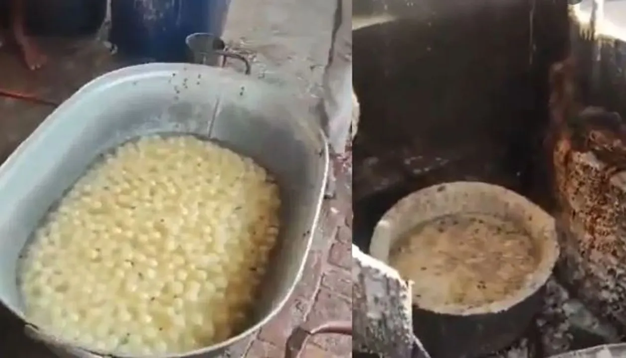  ରସଗୋଲାରେ ଶହଶହ ମଲାମାଛି, ଭିଡିଓ ଭାଇରାଲ