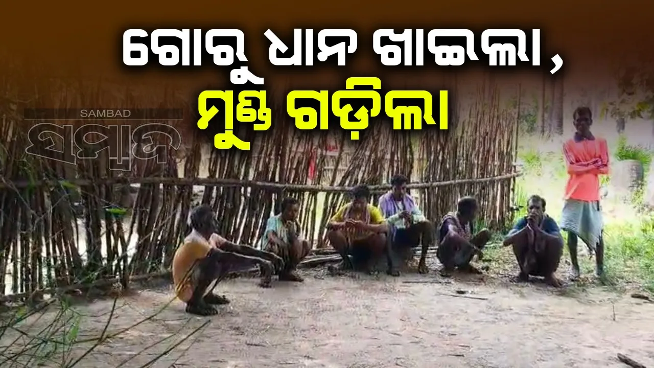  ପୁତୁରାର ଶାବଳ ମାଡ଼ରେ ଦାଦାଙ୍କ ମୃତ୍ୟୁ