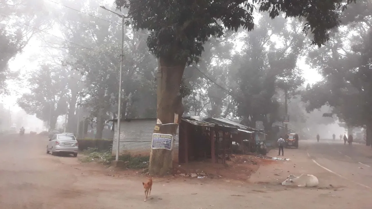  କନ୍ଧମାଳରେ ଶୀତ: ରାତିର ସର୍ବନିମ୍ନ ତାପମାତ୍ରା ୧୫ ଡିଗ୍ରି ତଳକୁ ଖସିଲା