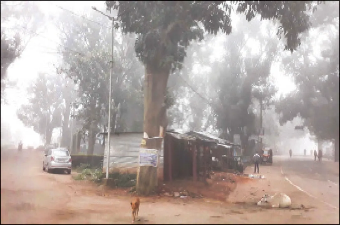  କନ୍ଧମାଳକୁ ଛୁଇଁଲା ପ୍ରଥମ ଶୀତ: ସର୍ବନିମ୍ନ ତାପମାତ୍ରା ୧୫ ଡିଗ୍ରିକୁ ଖସିଲା