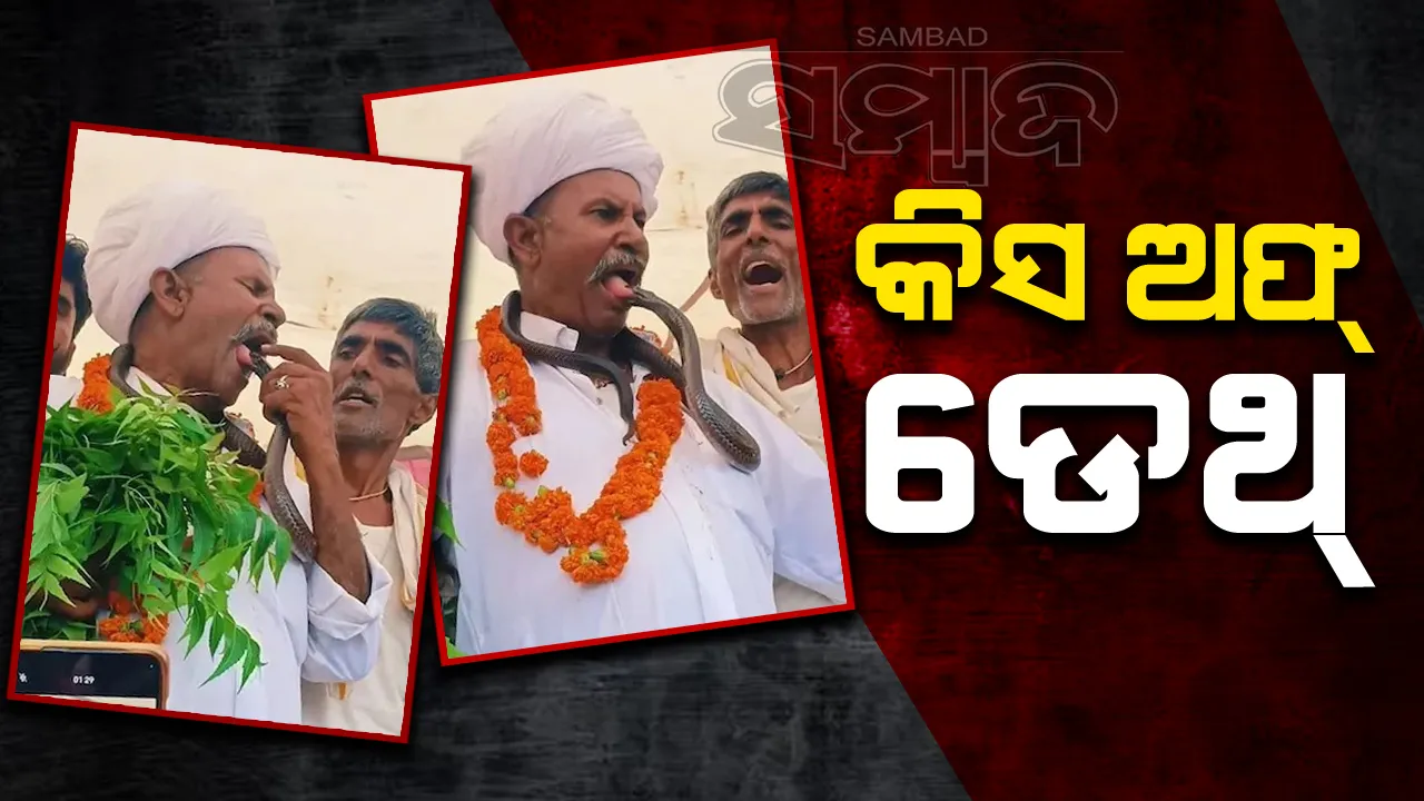  ମଞ୍ଚ ଉପରେ ଛିଡ଼ା ହୋଇଥିବା ବୃଦ୍ଧଙ୍କ ଜିଭକୁ ସାପ କଲା ଦଂଶନ