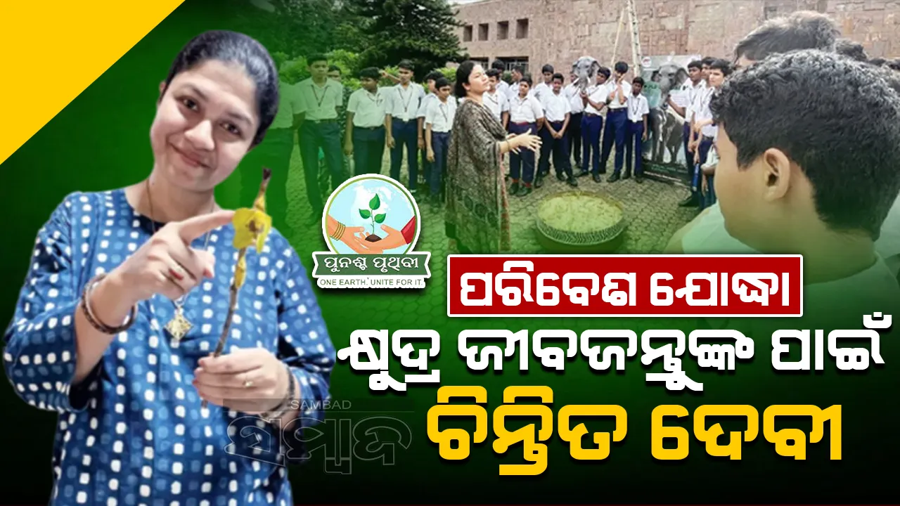  ପରିବେଶ ଯୋଦ୍ଧା: କ୍ଷୁଦ୍ର ଜୀବଜନ୍ତୁଙ୍କ ପାଇଁ ଚିନ୍ତିତ ଦେବୀ