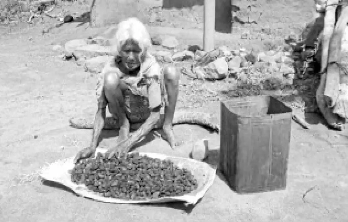  ଢିଙ୍କିଶାଳରୁ ଢେଙ୍କାନାଳ: କାଶୀପୁରରୁ ମାଣ୍ଡିପଙ୍କା