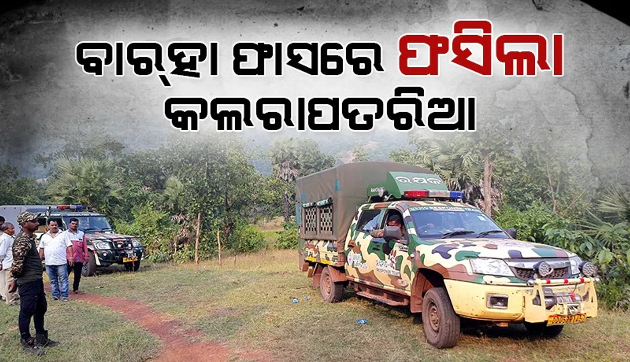  ବାର୍‌ହା ଫାସରୁ ଉଦ୍ଧାର କଲପତରିଆ ଗଲା ନନ୍ଦନକାନନ