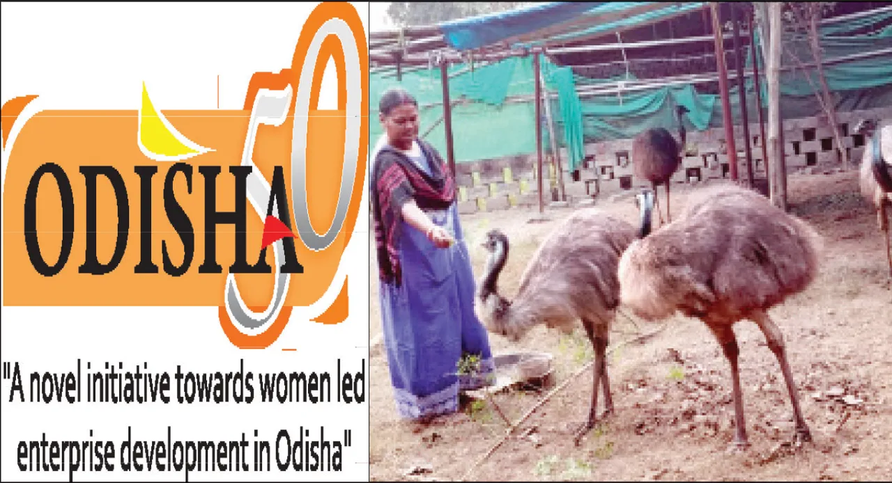  ସଫଳତାର ଶିଡ଼ିରେ ସେଲିନା: ଏମୁ ପକ୍ଷୀ, କୁକୁଡ଼ା ଚାଷରୁ ଲକ୍ଷାଧିକ ଆୟ