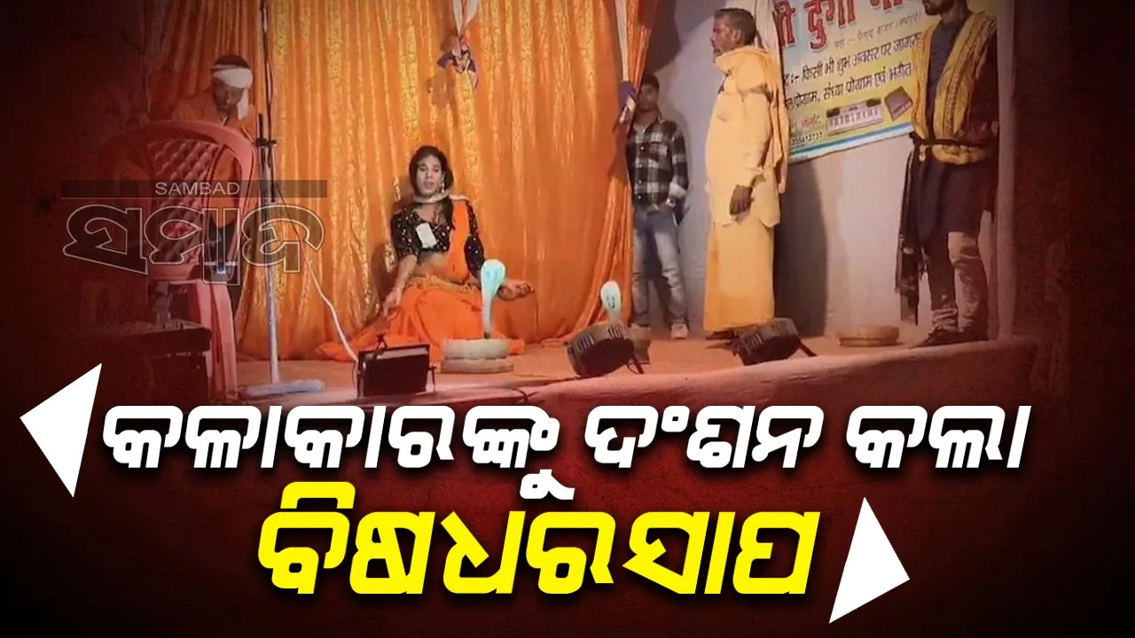  ନୃତ୍ୟ କରୁଥିବା ବେଳେ କଳାକାରଙ୍କୁ ଦଂଶନ କଲା ନାଗସାପ