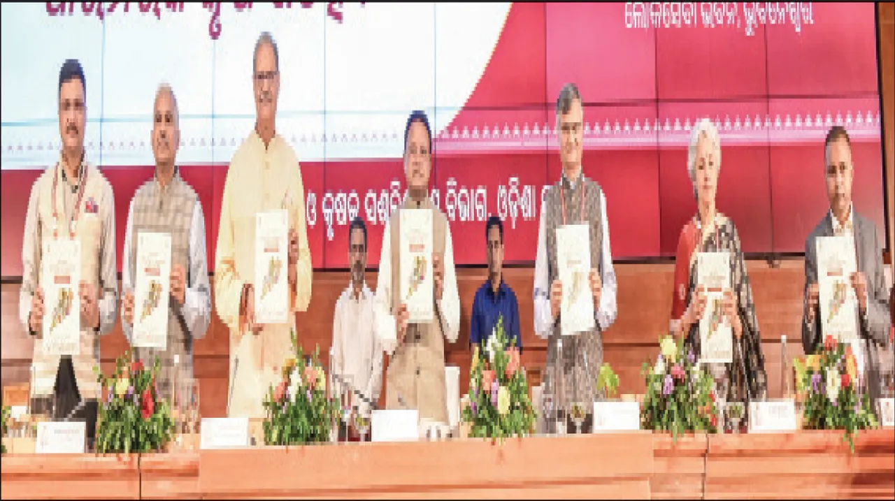  ଓଡ଼ିଶାକୁ ମିଲେଟ୍‌ ହବ୍ କରାଯିବ: ମୁଖ୍ୟମନ୍ତ୍ରୀ