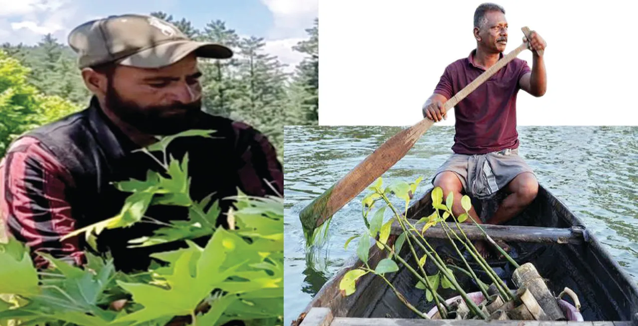  ପରିବେଶ ଯୋଦ୍ଧା: ଚିନାର୍‌ ଜନକ ଓ ହେନ୍ତାଳ ମାନବ