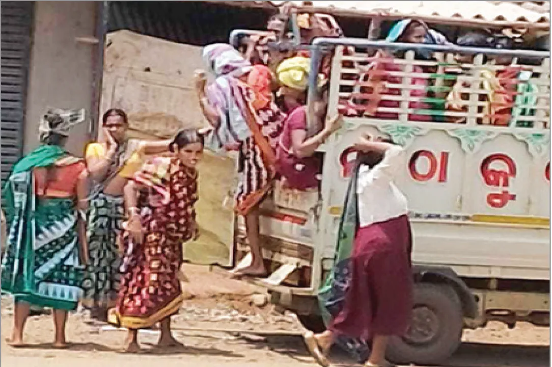 ମନରେଗାକୁ ନା, ଛତିଶଗଡ଼କୁ ଆଖି: ମୂଲ ଲାଗୁଛନ୍ତି ମହିଳା