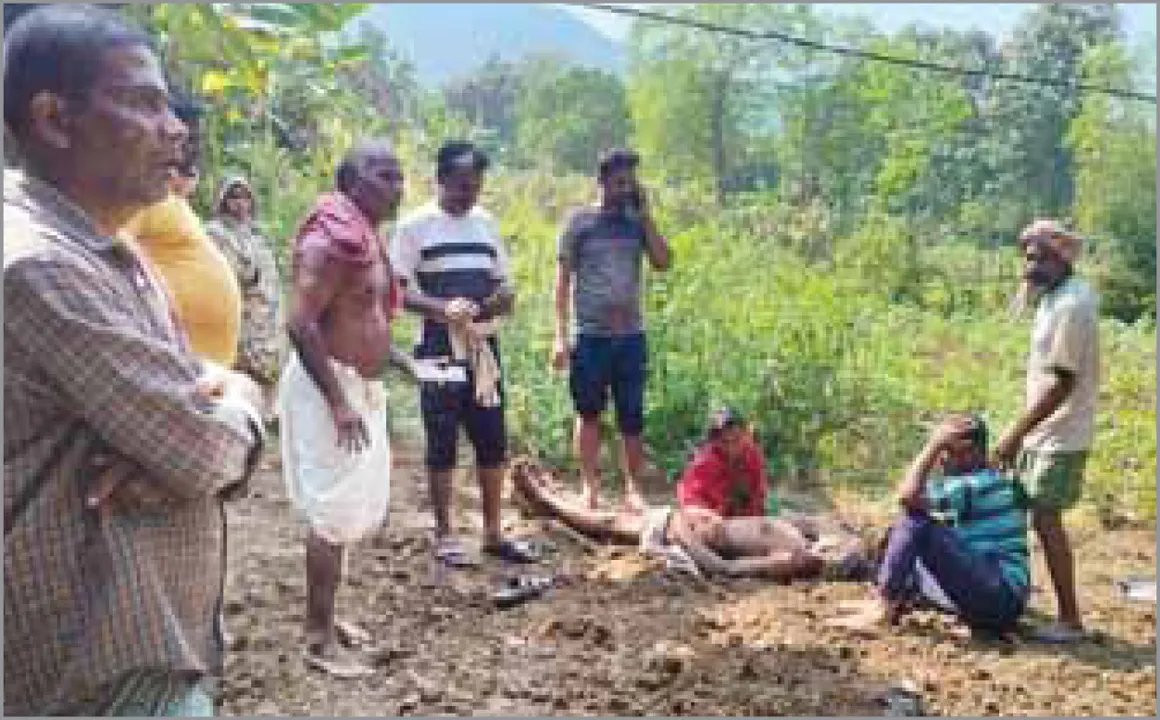  ସମ୍ପତ୍ତି ଆଗରେ ସଂପର୍କ ତୁଚ୍ଛ: ବଡ଼ଭାଇଙ୍କୁ ଗଳା କାଟି, ଭାଉଜଙ୍କୁ ବିଷ ପିଆଇ ମାରିଲା