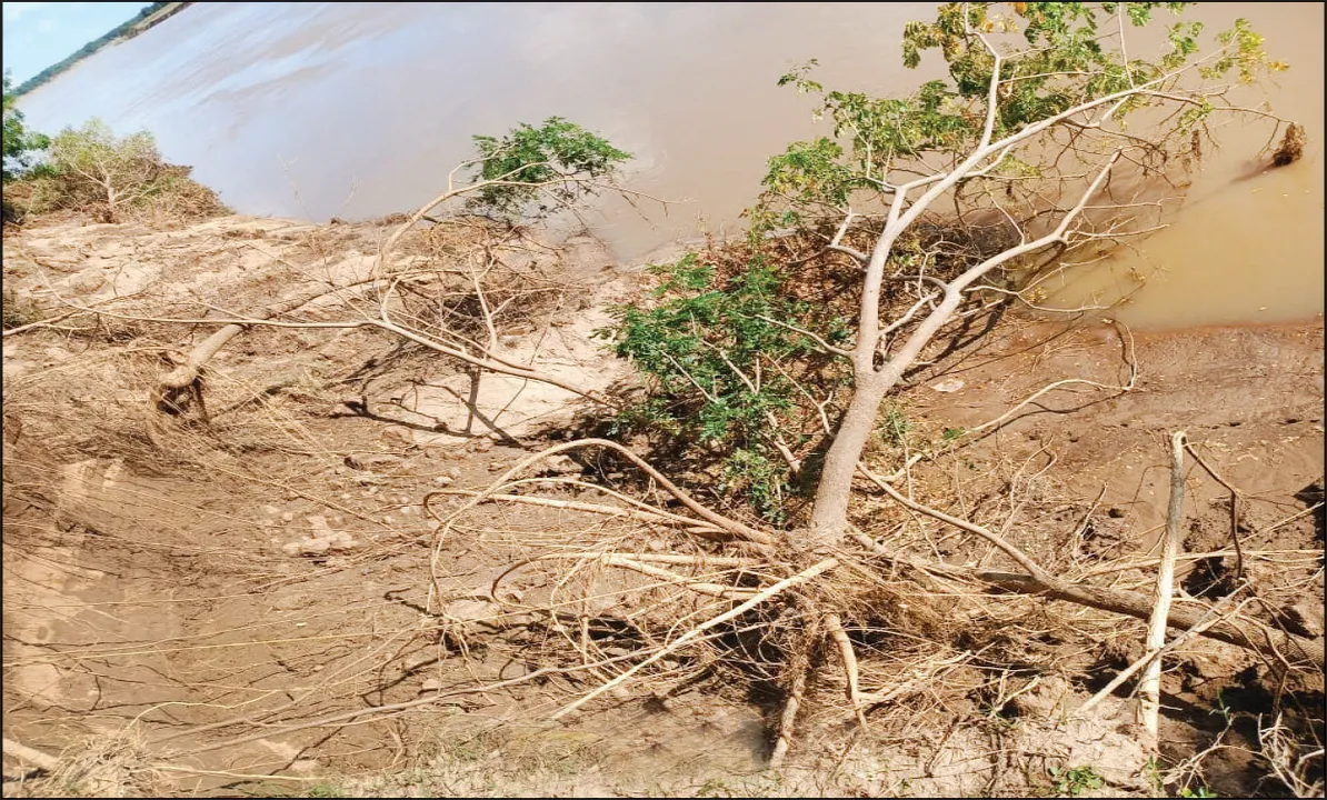  ଚଢ଼େଇବର-ବାୟାଁପଦା ଭାର୍ଗବୀ ନଦୀବନ୍ଧ ଧସୁଛି