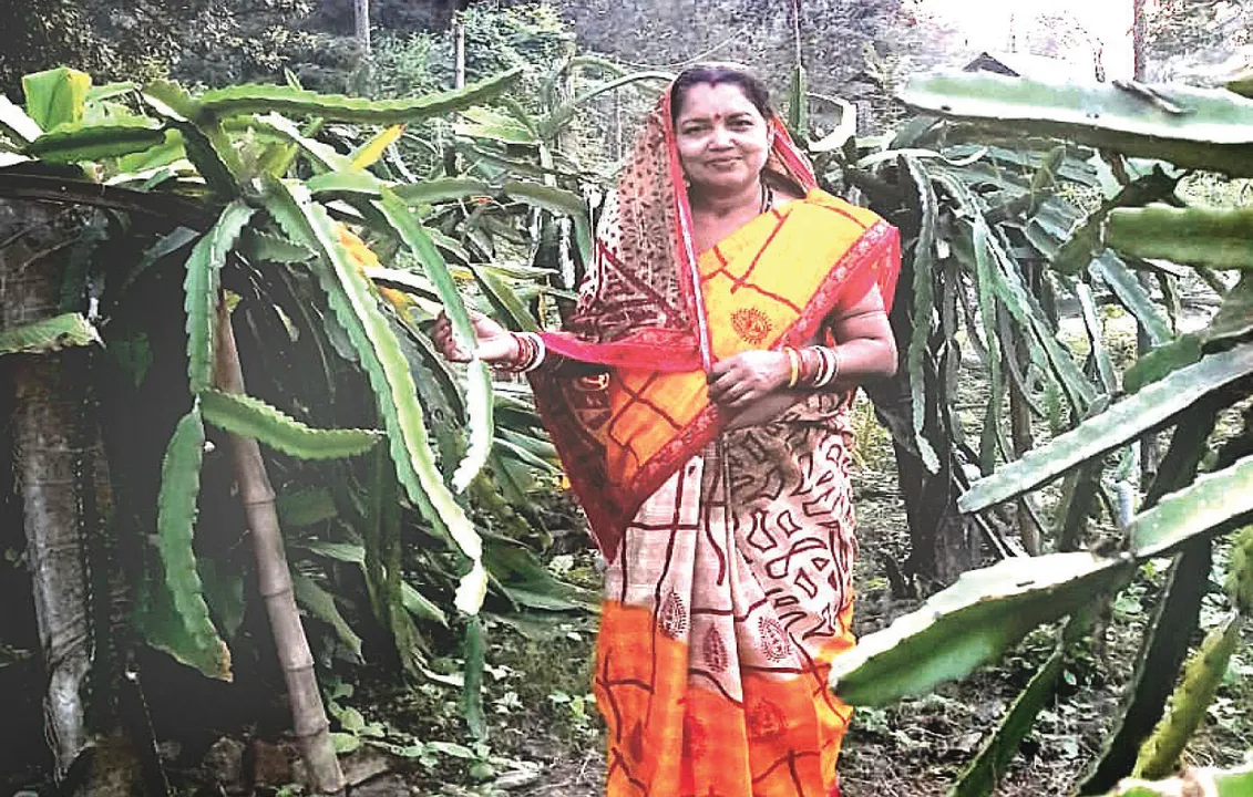  ମିଶ୍ରିତ କୃଷି ଶୁଭଶ୍ରୀଙ୍କୁ କରିଛି ଆତ୍ମନିର୍ଭରଶୀଳ