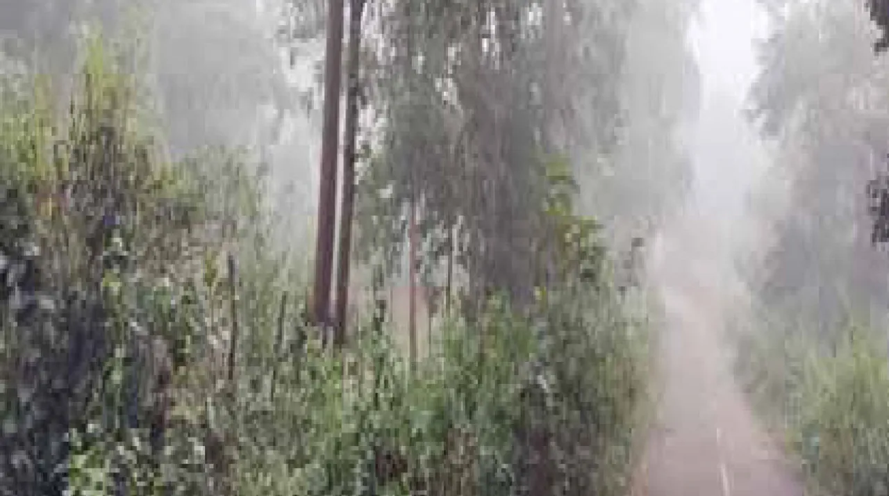  ଶୀତରେ ଥରୁଛି କନ୍ଧମାଳ: ଫୁଲବାଣୀ, ଦାରିଙ୍ଗବାଡ଼ିରେ ପ୍ରବଳ ଜାଡ଼