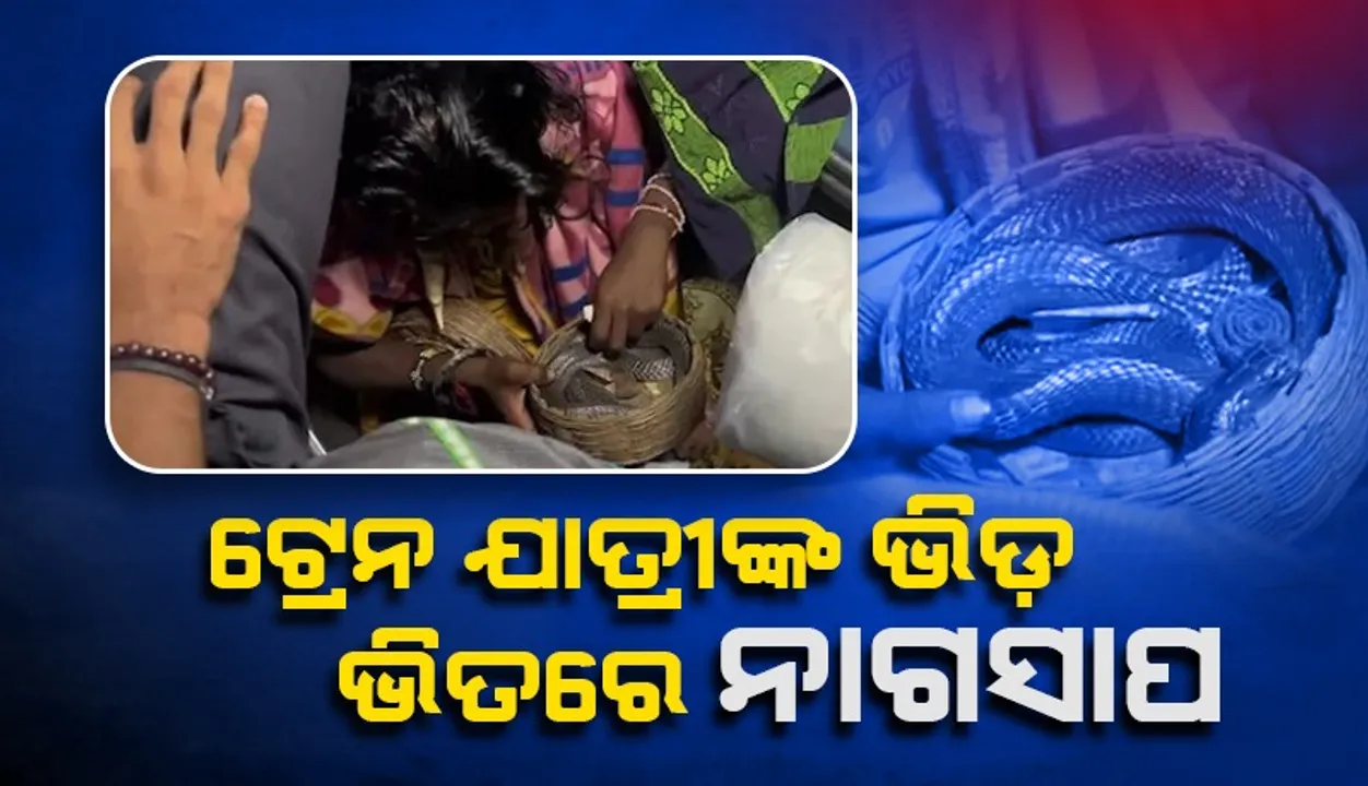  ଟ୍ରେନ ଭିତରେ ସାପର ଭୟ ଦେଖାଇ ଟଙ୍କା ଆଦାୟ