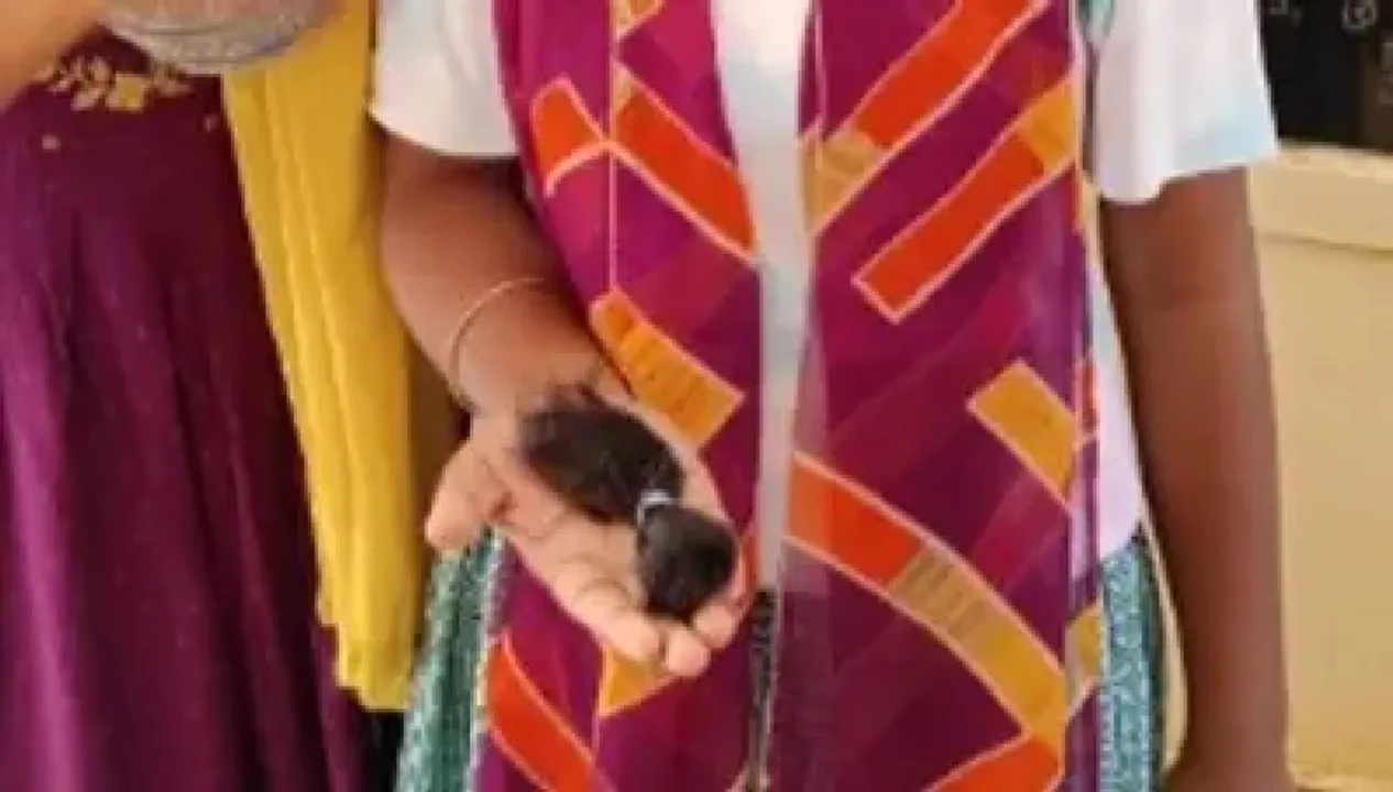  ବିଳମ୍ବରେ ସ୍କୁଲ୍‌ ଆସିବାରୁ ଛାତ୍ରୀଙ୍କ ଚୁଟି କାଟିଦେଲେ  ଶିକ୍ଷୟିତ୍ରୀ
