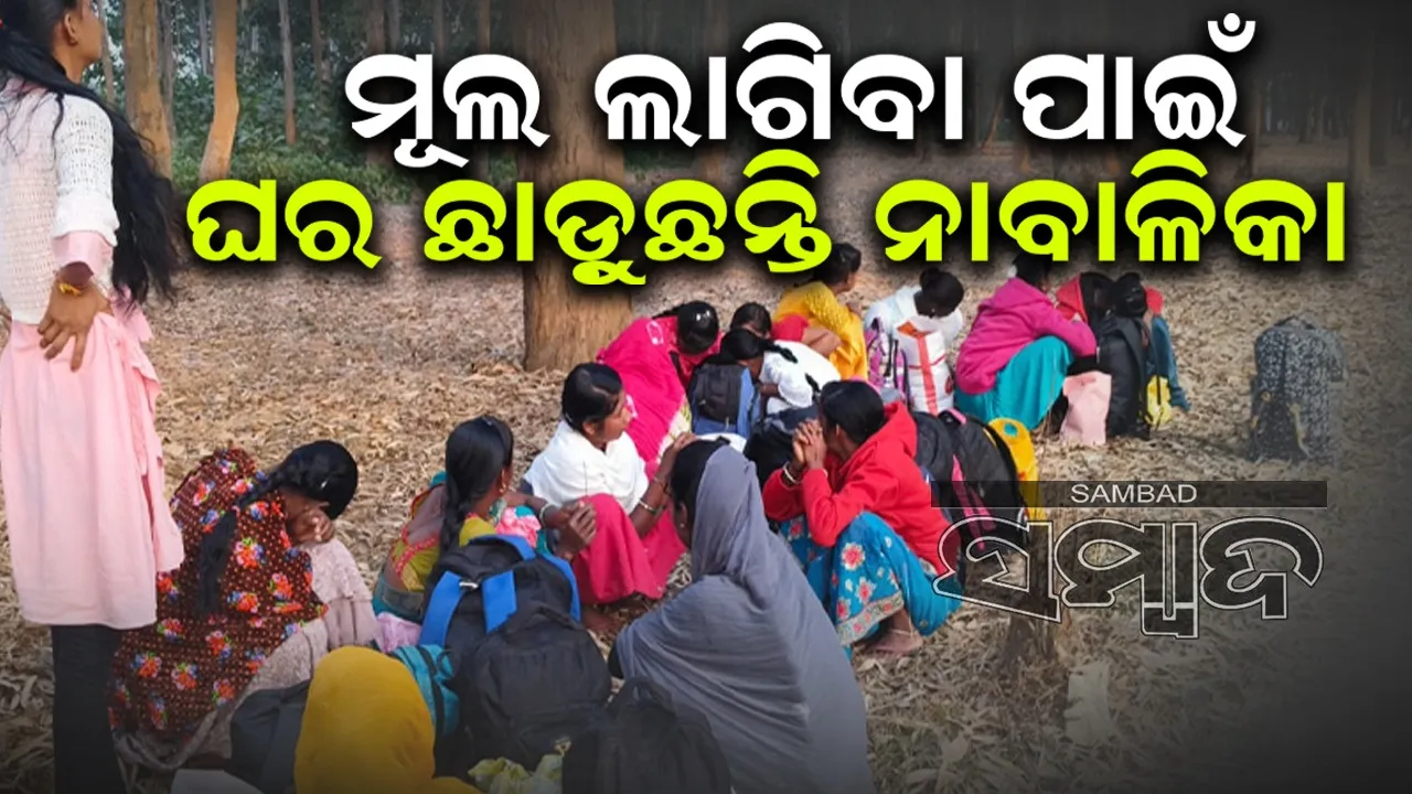  ଦାନାନ ଖଟି ପରିବାର ପୋଷୁଛନ୍ତି ନାବାଳିକା, ଦଲାଲ ହେଉଛନ୍ତି ଲାଭବାନ