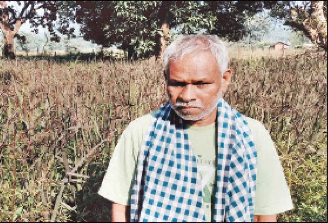  ରାଜନୀତି ଛାଡ଼ି କ୍ଷେତରେ ପୂର୍ବତନ ବିଧାୟକ: ‘କଳାବତୀ’ ଧାନ ଚାଷ କରି ଚର୍ଚ୍ଚାରେ ଅଙ୍ଗଦ