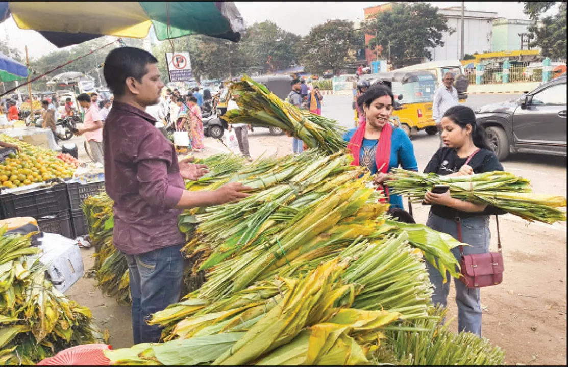  ମହକିବ ହଳଦୀପତ୍ର ପିଠା