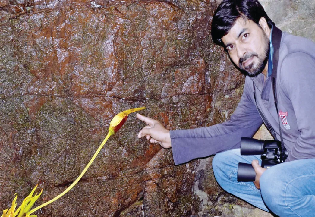  ପରିବେଶ ଯୋଦ୍ଧା: ପ୍ରକୃତି ପାଇଁ ସଂକଳ୍ପବଦ୍ଧ ପ୍ରସାଦ