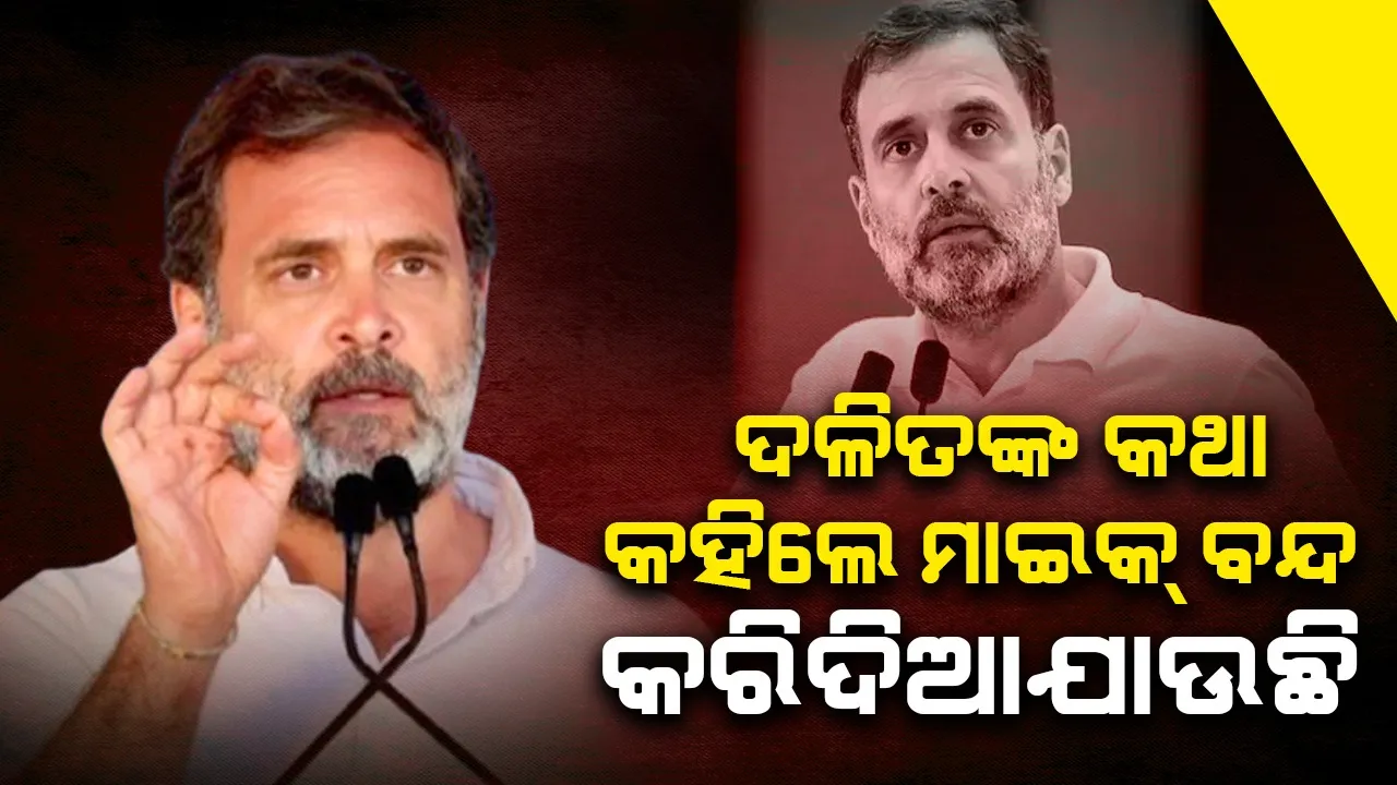  ଦଳିତଙ୍କ କଥା କହିଲେ ମାଇକ୍ ବନ୍ଦ କରିଦିଆଯାଉଛି :ରାହୁଲ ଗାନ୍ଧି