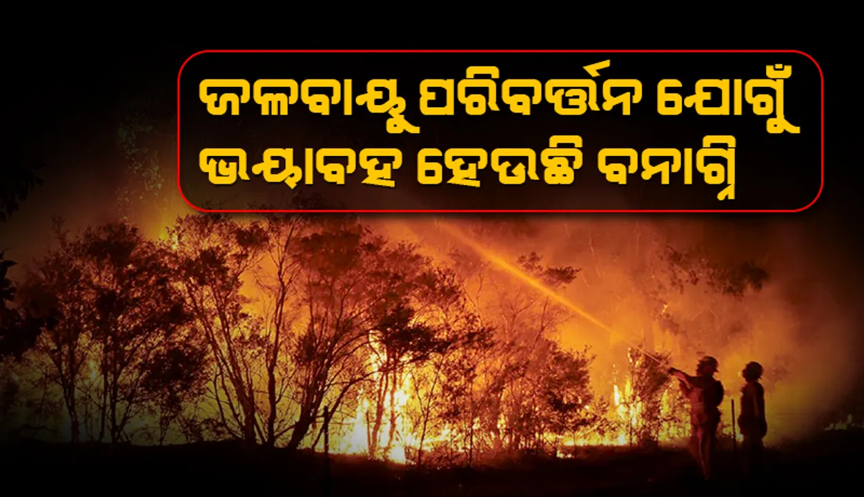  ଜଳବାୟୁ ପରିବର୍ତ୍ତନ ଯୋଗୁଁ ଭୟାବହ ହେଉଛି ବନାଗ୍ନି