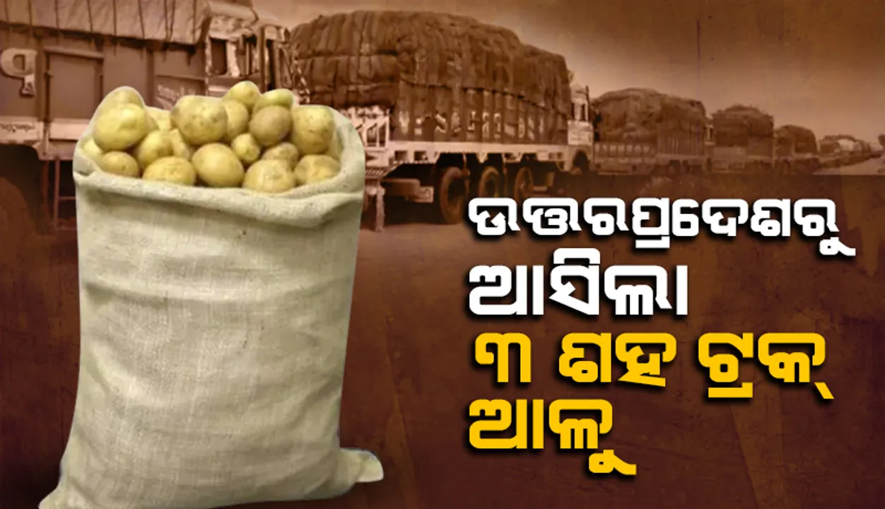  ଉତ୍ତରପ୍ରଦେଶରୁ ଓଡ଼ିଶାରେ ପହଞ୍ଚିଲା ୩ ଶହ ଟ୍ରକ୍ ଆଳୁ