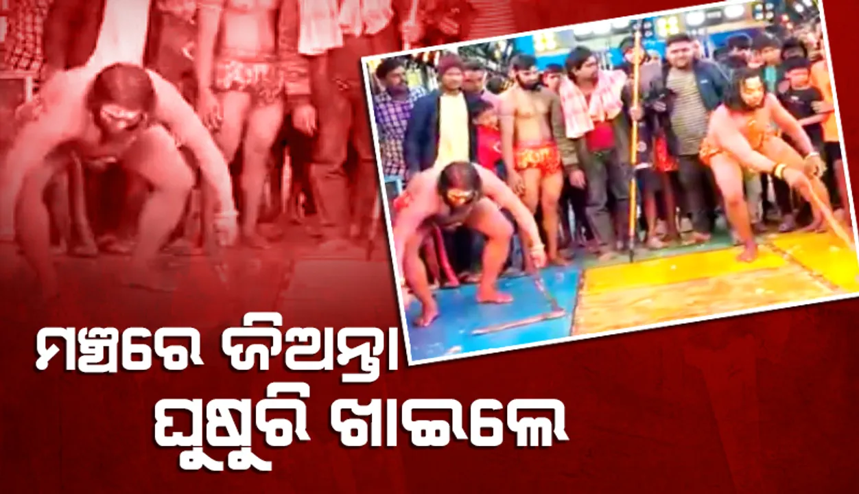  ମଞ୍ଚରେ ଜିଅନ୍ତା ଘୁଷୁରି ଖାଇଲେ
