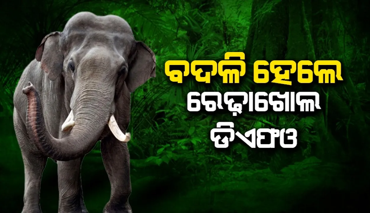  ୩ ହାତୀ ମୃତ୍ୟୁ ଘଟଣା: ବଦଳି ହେଲେ ରେଢ଼ାଖୋଲ ଡିଏଫଓ ଅରବିନ୍ଦ ମହାନ୍ତି